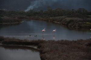 La laguna di Nora